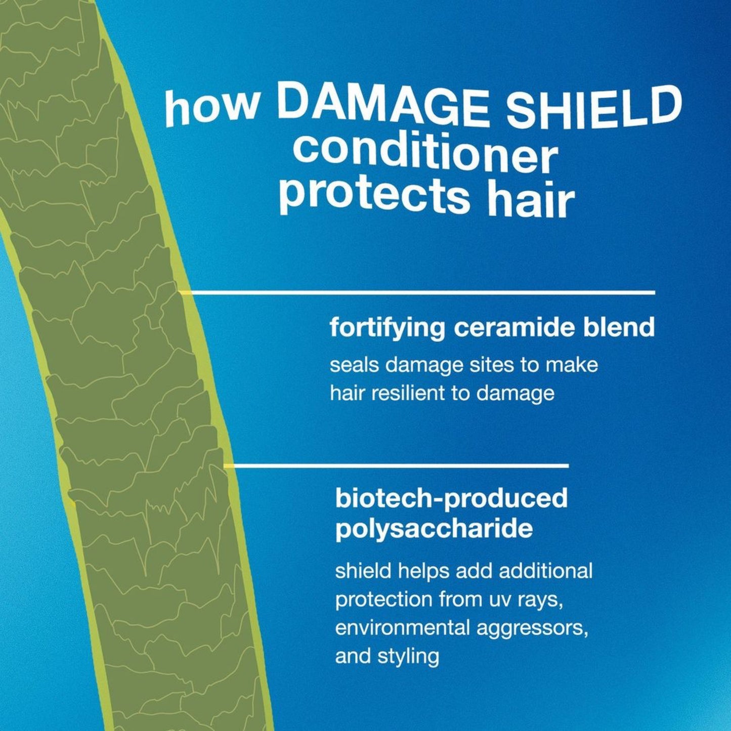 K18 Damage Shield Smooth Routine (value $140)